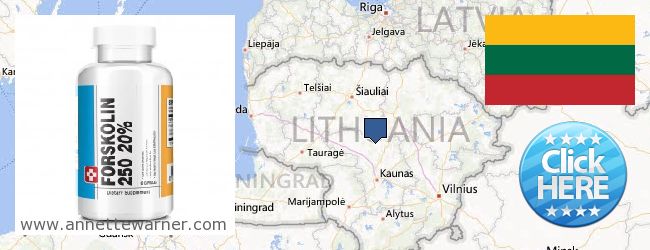 Kde kúpiť Forskolin on-line Lithuania