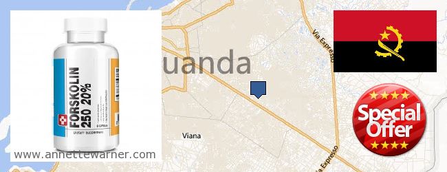 Where to Buy Forskolin Extract online Luanda, Angola