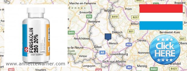 Hvor kjøpe Forskolin online Luxembourg