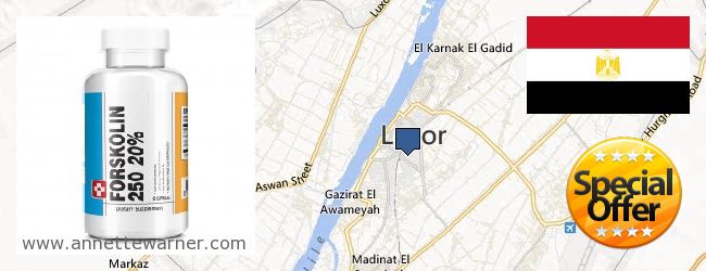 Where to Buy Forskolin Extract online Luxor, Egypt