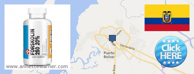 Where Can I Buy Forskolin Extract online Machala, Ecuador