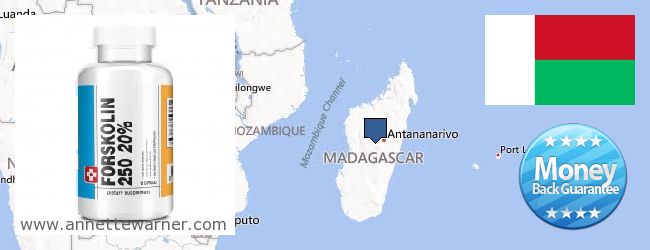 Jälleenmyyjät Forskolin verkossa Madagascar