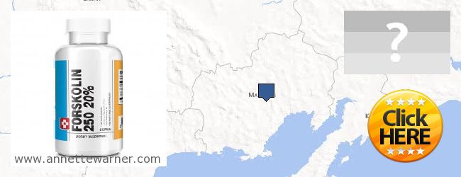 Where to Buy Forskolin Extract online Magadanskaya oblast, Russia
