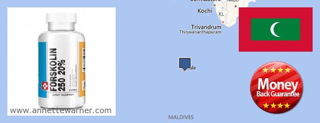 Var kan man köpa Forskolin nätet Maldives