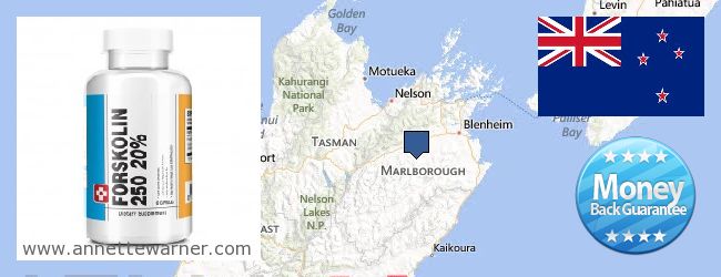 Where to Buy Forskolin Extract online Marlborough, New Zealand