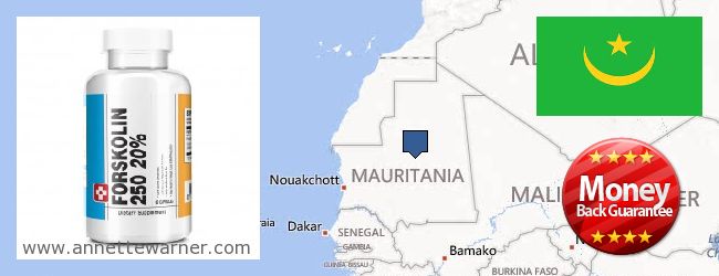 Où Acheter Forskolin en ligne Mauritania