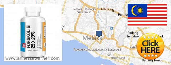 Where to Buy Forskolin Extract online Melaka (Malacca), Malaysia