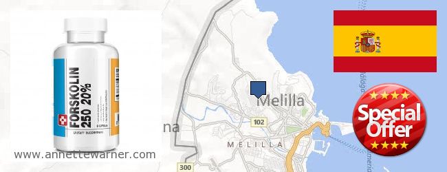 Where to Buy Forskolin Extract online Melilla, Spain