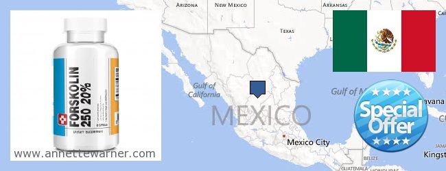 Gdzie kupić Forskolin w Internecie Mexico