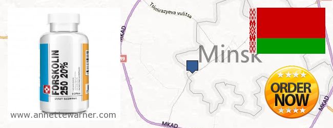 Where Can You Buy Forskolin Extract online Minsk, Belarus