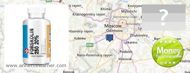 Buy Forskolin Extract online Moskovskaya oblast, Russia