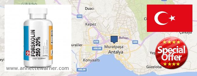 Where to Buy Forskolin Extract online Muratpasa, Turkey