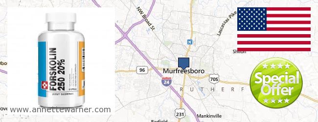 Purchase Forskolin Extract online Murfreesboro TN, United States