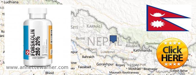 Kde kúpiť Forskolin on-line Nepal
