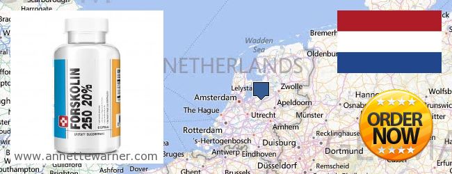 Hvor kan jeg købe Forskolin online Netherlands