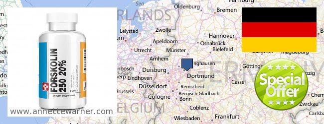Where to Buy Forskolin Extract online (North Rhine-Westphalia), Germany
