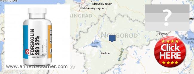 Where to Purchase Forskolin Extract online Novgorodskaya oblast, Russia