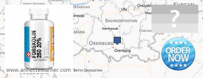 Where Can You Buy Forskolin Extract online Orenburgskaya oblast, Russia