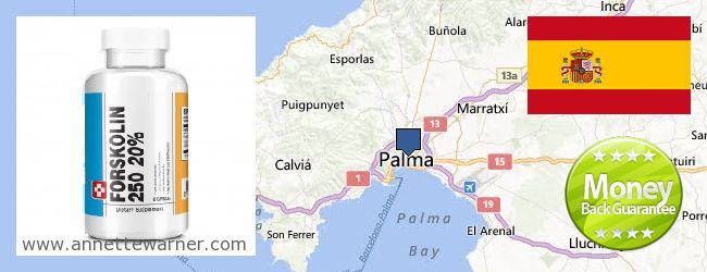 Where Can You Buy Forskolin Extract online Palma de Mallorca, Spain