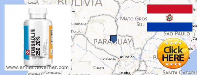 Unde să cumpărați Forskolin on-line Paraguay