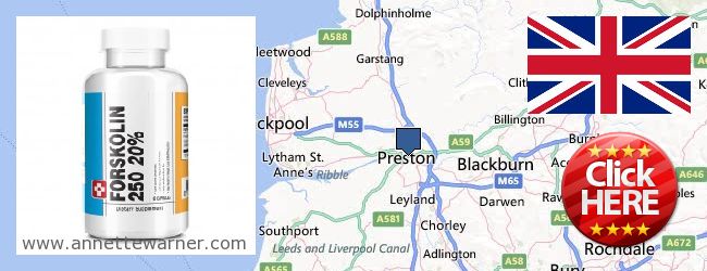 Where to Buy Forskolin Extract online Preston, United Kingdom