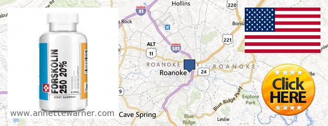 Purchase Forskolin Extract online Roanoke VA, United States