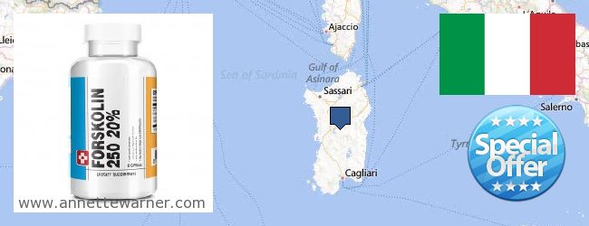 Where to Purchase Forskolin Extract online Sardegna (Sardinia), Italy
