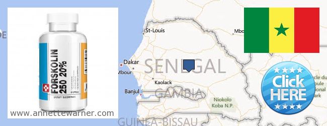Где купить Forskolin онлайн Senegal