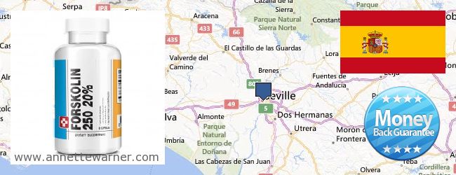 Where to Buy Forskolin Extract online Seville, Spain