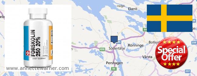 Purchase Forskolin Extract online Soedertaelje, Sweden