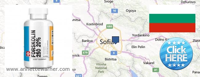 Where to Buy Forskolin Extract online Sofia, Bulgaria