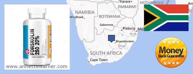 Dove acquistare Forskolin in linea South Africa