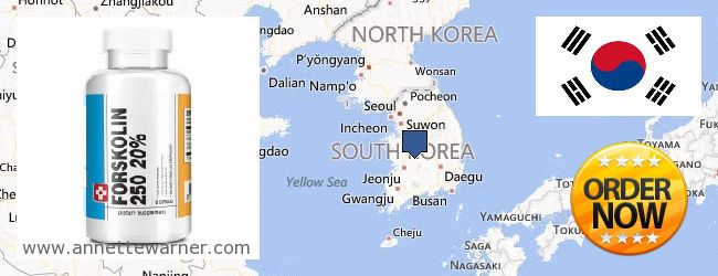 Où Acheter Forskolin en ligne South Korea