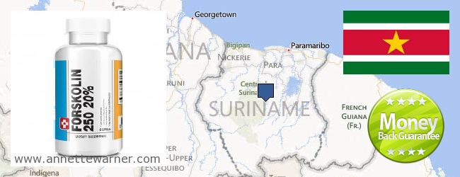 Hol lehet megvásárolni Forskolin online Suriname