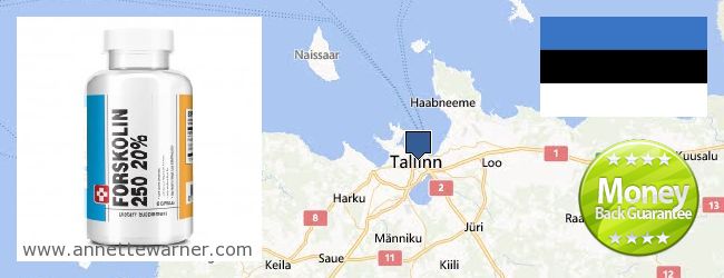 Where to Buy Forskolin Extract online Tallinn, Estonia