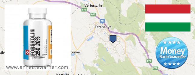 Where to Buy Forskolin Extract online Tatabánya, Hungary