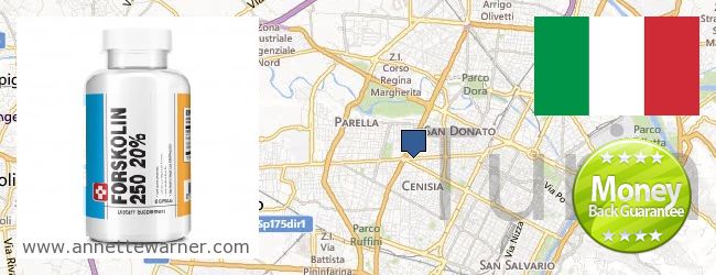 Where to Buy Forskolin Extract online Torino, Italy