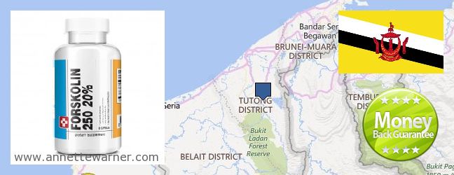 Where Can I Buy Forskolin Extract online Tutong, Brunei