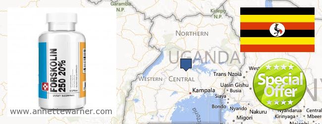 Unde să cumpărați Forskolin on-line Uganda