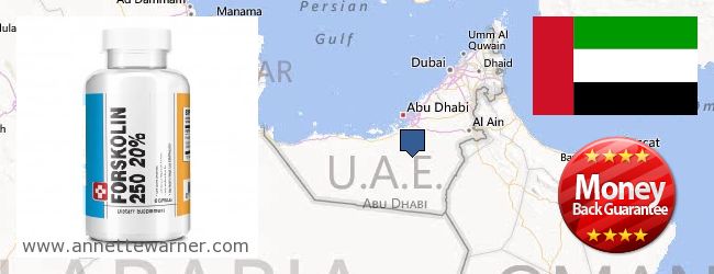 Where to Buy Forskolin Extract online Umm al-Qaywayn [Umm al-Qaiwain], United Arab Emirates
