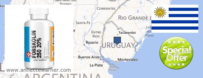 Къде да закупим Forskolin онлайн Uruguay