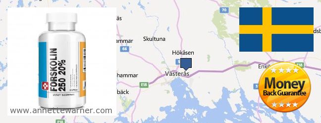 Where Can I Buy Forskolin Extract online Vasteras, Sweden