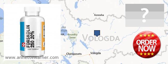 Where Can I Buy Forskolin Extract online Vologodskaya oblast, Russia