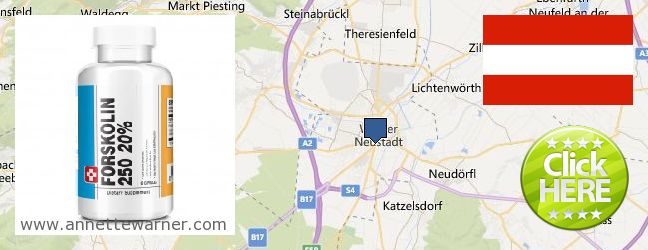 Where to Buy Forskolin Extract online Wiener Neustadt, Austria