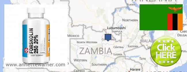 Onde Comprar Forskolin on-line Zambia