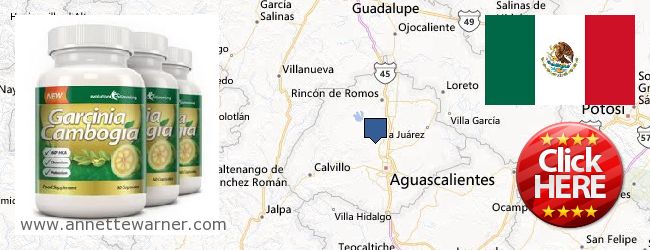 Where to Buy Garcinia Cambogia Extract online Aguascalientes, Mexico