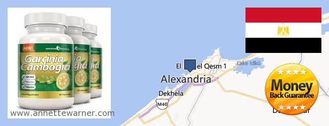 Best Place to Buy Garcinia Cambogia Extract online Alexandria, Egypt