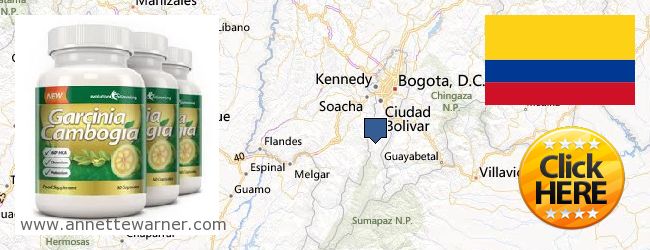 Where to Buy Garcinia Cambogia Extract online Bogotá, Distrito Especial, Colombia