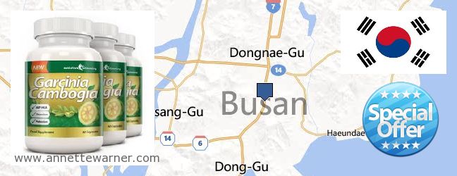 Where to Buy Garcinia Cambogia Extract online Busan [Pusan] 부산, South Korea