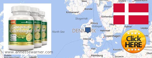 Πού να αγοράσετε Garcinia Cambogia Extract σε απευθείας σύνδεση Denmark